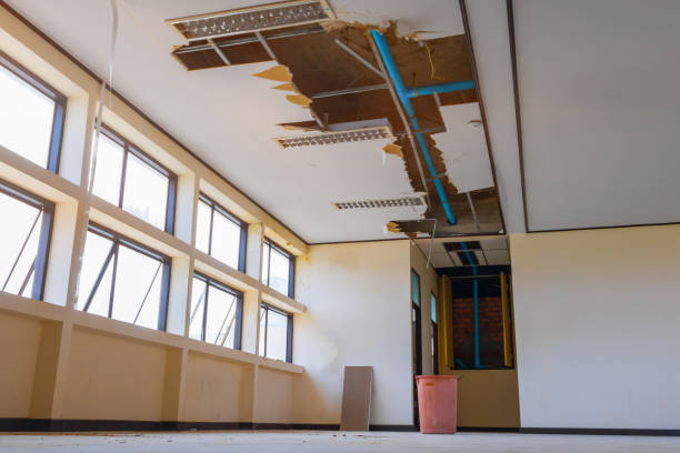 Best Water damage restoration near me  in Vermilion, OH