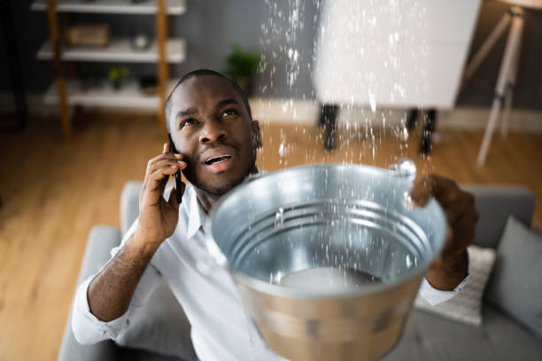 Best Residential water damage restoration  in Vermilion, OH