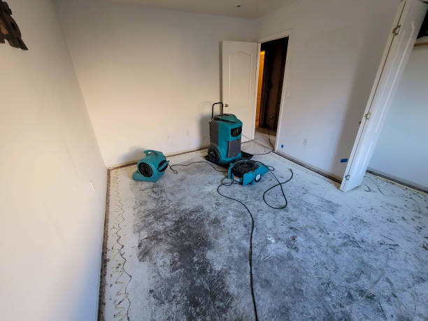 Sewage cleanup and water damage restoration in Vermilion, OH