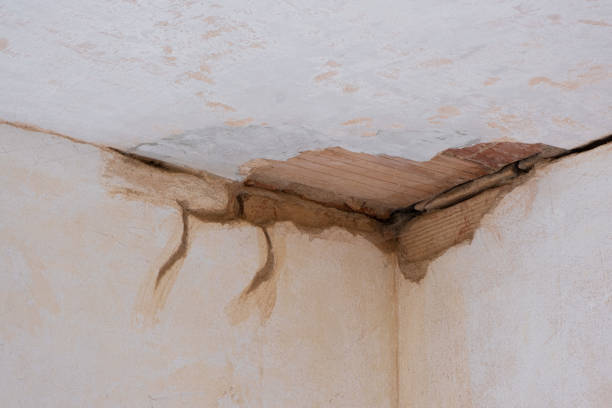 Best Ceiling water damage repair  in Vermilion, OH