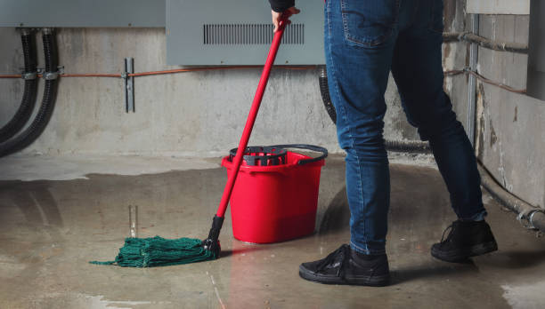 Best Residential water damage restoration  in Vermilion, OH