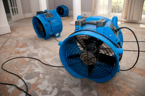 Best Local water damage restoration  in Vermilion, OH