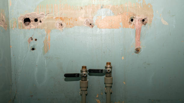 Best Mold removal after water damage  in Vermilion, OH